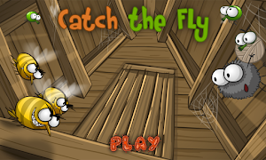 Catch the Fly-poster