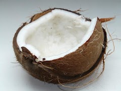 Coconut 截图 3