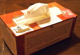 tissue box project screenshot 2