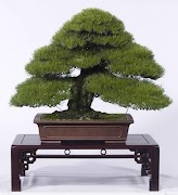 Bonsai Tree اسکرین شاٹ 4