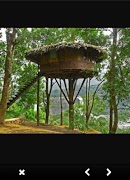 Tree House Идеи дизайна скриншот 7