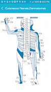 Neurology Essentials 截图 3
