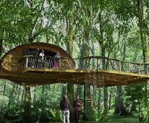 Maison de l'arbre capture d'écran 7