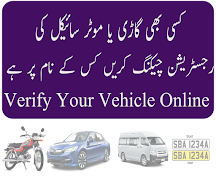 2 Schermata Vehicle Verification 2018 - 2019