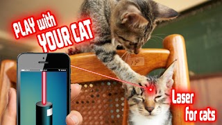 Laser Pointer: Cat Edition bài đăng