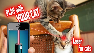 Laser Pointer: Cat Edition bài đăng