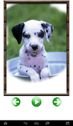 Animal Sounds nghiên cứu ảnh chụp màn hình 4