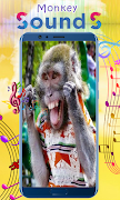 Monkey Sounds ภาพหน้าจอ 5