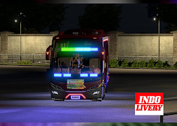 STROBO BUSSID ảnh chụp màn hình 5