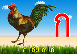 เพลงเด็ก เพลง ก ไก่ ABC Songs พร้อม รูปภาพประกอบ скриншот 1