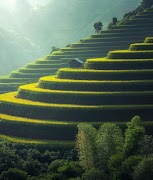 TUJH SANG ZINDAGI by Ana Ilyas bài đăng