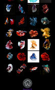 3 Schermata Betta Fish 3D