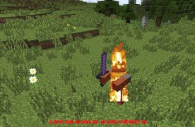 Advanced morph mod for Minecraft capture d'écran 2