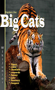 Big Cats screenshot 2