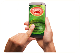 Watermelon Ripeness screenshot 1