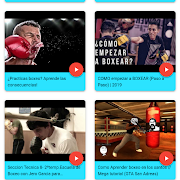 Aprender Boxeo Ekran Görüntüsü 7