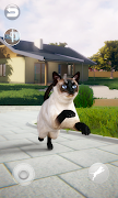 Talking Siamese Cat screenshot 1