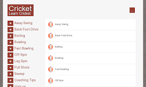Cricket lessons screenshot 2