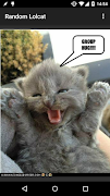 Random Lolcat capture d'écran 1