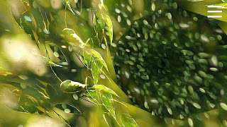 OpenSynaps Mental تصوير الشاشة 3