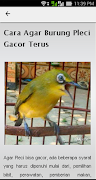 Tips Pleci Gacor Ekran Görüntüsü 2