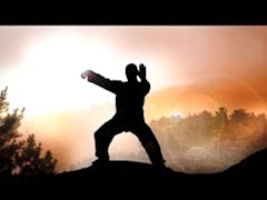 Qi gong Exercise Tutorial Ekran Görüntüsü 3