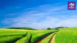 Dragon IPTV syot layar 1