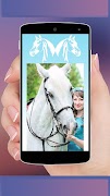 Horse Screen screenshot 3