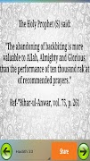 Hadith App (English) ภาพหน้าจอ 3