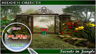 Hidden Objects Jungle Secrets plakat