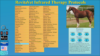 RevitaVet Therapeutic Systems: screenshot 5
