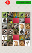 Animals Matching Game screenshot 3