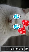 Joke　Face　Maker Ekran Görüntüsü 2