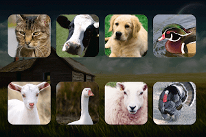 Farm Animal Sounds Learn 포스터