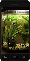 پوستر Fish Tank