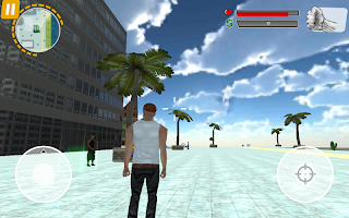 Sun City Crime 海報