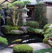 Mini Fish Pond screenshot 3