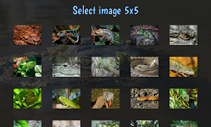 Tile Puzzles · Reptiles 포스터