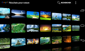 DroidIris : Image Search captura de pantalla 1