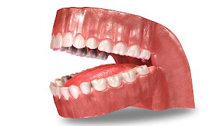 VR Root Canal スクリーンショット 1