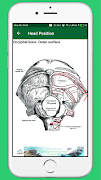 Human Anatomy System স্ক্রিনশট 3