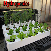 Hydroponics پوسٹر