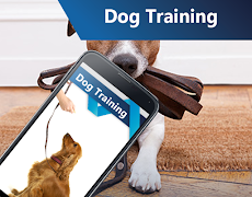 Dog Training ภาพหน้าจอ 2