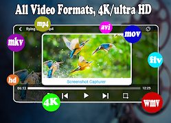 Max Player ภาพหน้าจอ 1