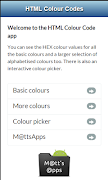 HTML Colour Codes Affiche