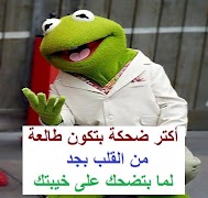 نكت كيرمت الضفدع الأخضر المجنون kermit 2019 imagem de tela 5