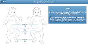 LearnAboutBA screenshot 6