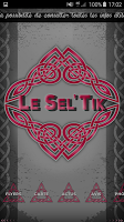Le Sel'tik poster
