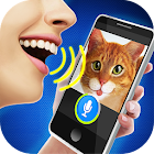 آیکون‌ What Cat? Voice Scanner