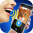 What Cat? Voice Scanner